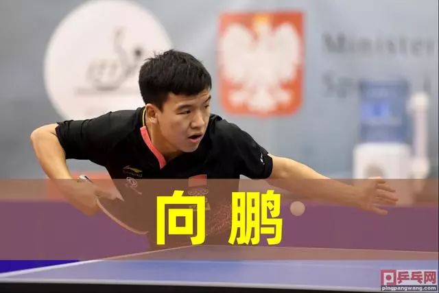 正是这类活