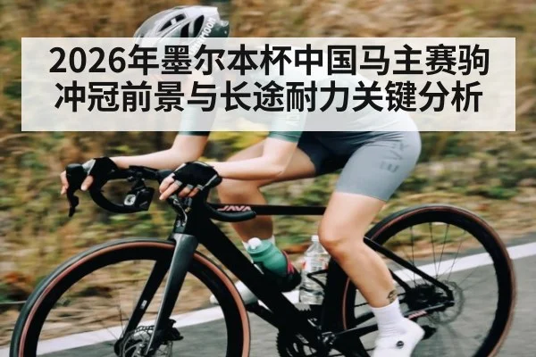 2026年墨尔本杯中国马主赛驹冲冠前景与长途耐力关键分析